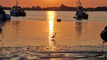 Fishing boats egret sunset.jpg